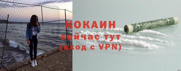 эйфоретик Арсеньев
