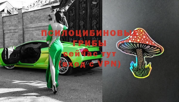 эйфоретик Арсеньев