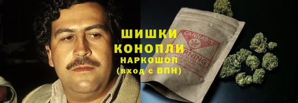 эйфоретик Арсеньев