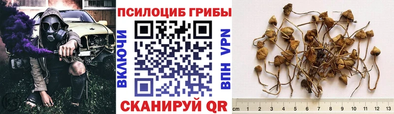 магазин продажи   Углегорск  Галлюциногенные грибы Magic Shrooms 